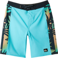 Quiksilver Youth Surfsilk Arch 17"