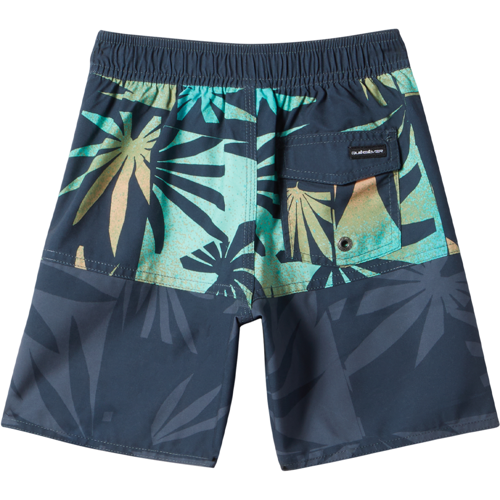 Quiksilver Youth Everyday Division 13"