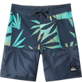 Quiksilver Youth Everyday Division 13"