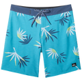 Quiksilver Surfsilk Straight Leg 19"